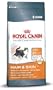 Royal Canin Hair and Skin 33 Katzenfutter, 10 kg- Katzenfutter