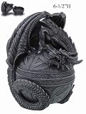 Celtic Dragon Trinket Box 8264