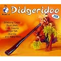 Didgeridoo