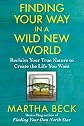 Finding Your Way in a Wild New World