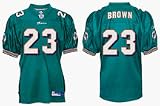 Ronnie Brown Miami Dolphins #23 Authentic Reebok NFL Football Jersey (Aqua)
