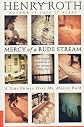 Mercy of a Rude Stream : A Star Shines over Mt. Morris Park (Mercy of a Rude Stream)