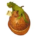 Iguana Coconut Wood Piggy Bank - Green/ Brown