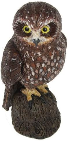 Science and Nature 75463 Australian Boobook Owl - Animals of Australia Realistic Toy Replica by Science and Nature