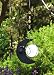 Angry Crescent Moon Solar Hanging Lantern