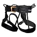 Black Diamond Alpine Bod Climbing Harness (Medium)