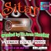 Raghuvamsa Sitar Fusion