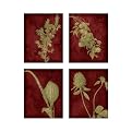 Etched Plants Collection