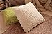 OJIA Deluxe Home Decorative Super Soft Plush Faux Fur Throw Pillow Cover Cushion Case (24 X 24 Inch, Beige)