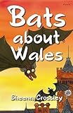Bats about Wales : baby bat's big adventure