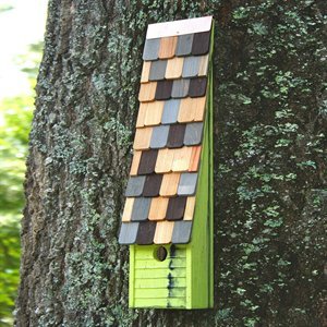 Heartwood - Jacobs Ladder Yellow 182-E