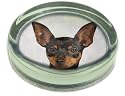 ENGLISH TOY TERRIER DOG PRINT Glass Paper Weight