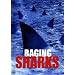 Raging Sharks