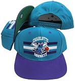 Charlotte Hornets Teal/Purple Two Tone Snapback Adjustable Plastic Snap Back Hat / Cap