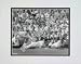 Brooks Robinson, Baltimore Orioles Multi-Exposure Double Matted 8 X 10 Photograph (Unframed)