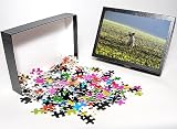 Photo Jigsaw Puzzle of dog-jack russell terrier from Animal Photography