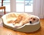 Lounger Dog Extra-Large Pet Bed - Khaki (43x28")