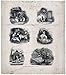 Six vignettes contrasting social classes (Reprint measured in inches 21 x 24)