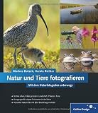 Produkt-Bild: Natur und Tiere fotografieren: Mit dem Naturfotografen unterwegs