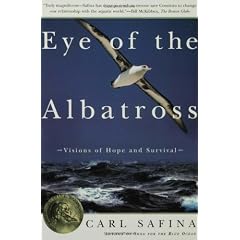 Eye of the Albatross: Visions of Hope and Survival