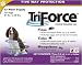 Pet Supplies : TriForce Squeeze On Dog 21-39 Lbs 3pk