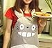 1 X Hayao Miyazaki Totoro Gray Apron by Venz