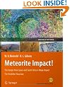 Meteorite Impact!: The Danger from Space and South Africa's Mega-Impact The Vredefort Structure: The Danger from Space and South Africa's Mega-Impact. The Vrederfort Dome (Geoparks of the World)