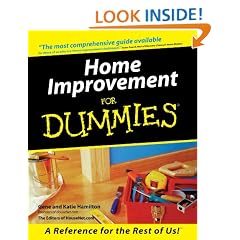 Home Improvement For Dummies