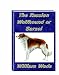 The Russian Wolfhound or Barzoi