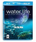 Water Life: The Big Blue [Blu-ray plus DVD and Digital Copy]