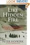 Like Hidden Fire: The Plot to Bring Down the British Empire