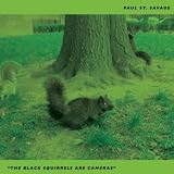 The Black Squirrels Are Cameras