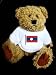 Teddy Bear with laos, flag, laotian t-shirt