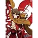 �퍑BASARA�� ���̓� [DVD]