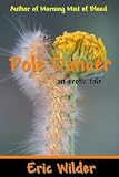 Pole Dancer