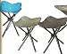 Four Legged Folding Camp Stool with Carry Sleeve and Shoulder Strap by CampingMaxx - Set of 2