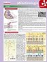 Lerntafel: Mikrobiologie im �berblick (Lerntafeln Biologie)
