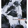 The Art of Kyffin Williams