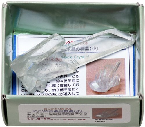 あなたも! 鉱物博士シリーズ 紙箱標本 水晶群晶(小)