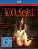 100 Feet (DVD)