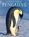 Penguins