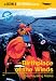 Search : Birthplace of the Winds - Sea Kayaking Alaska