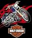 HARLEY DAVIDSON 79925 MICRO SUPER PLUSH RASCHEL THROW-BLANKET