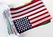 2014 Brazil Fifa World Cup Top 32 Country Teams Bar Bunting Banner Flag
