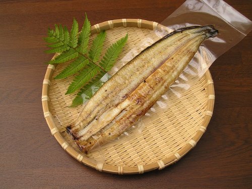 舟宿 うなぎ白焼長焼 真空パック （大）