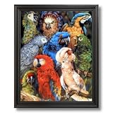 Tropical Parrot Bird Collage Animal Wildlife Home Decor Wall Picture Black Framed Art Print