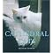 CATS - reviews of a german writer