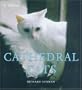 Cathedral Cats