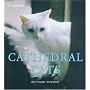 Cathedral Cats