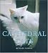 Cathedral Cats